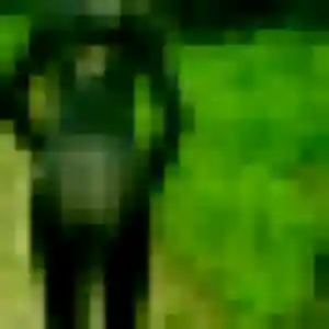 Ninon, 21 ans, en ligne à Sainte-Gemmes-sur-Loire pour une rencontre coquine