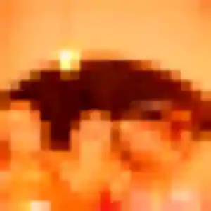 Photo exclusive de Edith, 45 ans à Sarlat-la-Canéda - rencontre coquine