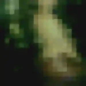 Photo exclusive de Geneve, 30 ans à Terres-de-Haute-Charente - rencontre coquine