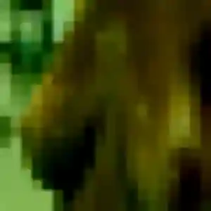 Charmante Cecile, 35 ans à Thoiry - voir sa photo