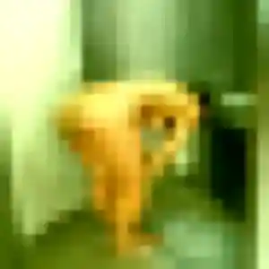 Photo de Capucine à Tulle (43 ans) - rencontre cougar sans inscription