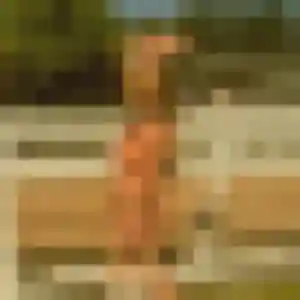 Ines, femme de 24 ans cherche rencontre cougar à Urrugne