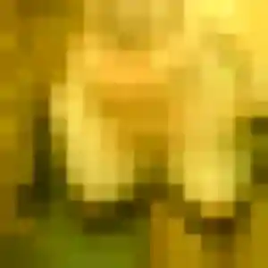 Photo sexy de Pauline, 29 ans à Val d'Anast - rencontre sans lendemain