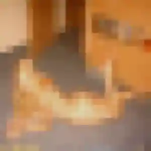 Zineb, 24 ans, dispo pour rencontre cougar à Valence