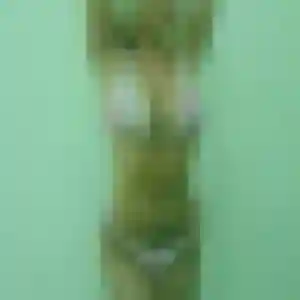 Rachida, 26 ans, disponible à Vern-sur-Seiche pour une rencontre coquine