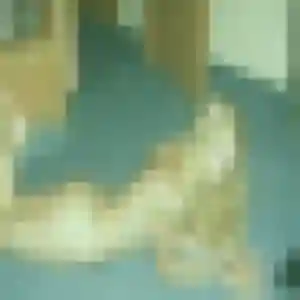 Belle Pauline, 36 ans à Vernouillet - découvrir son profil