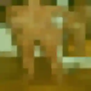 rencontre cougar à Vertaizon : profil de Hortense, 38 ans - inscription gratuite